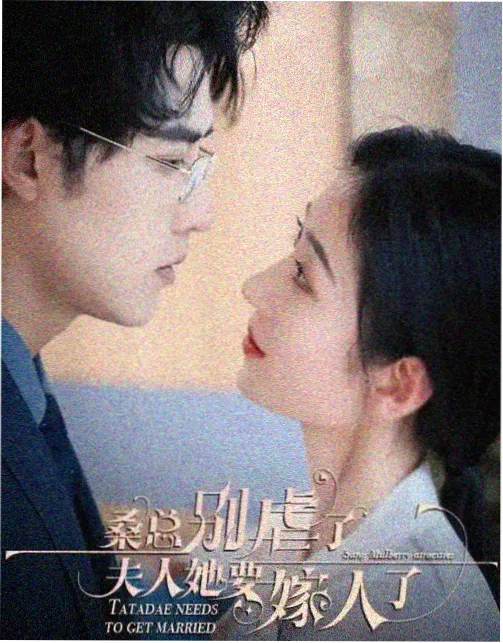 华策影视剧集 以家人之名